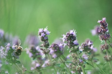 signo positivo en el aeropuerto