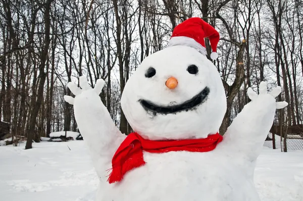 Hombre de nieve — Foto de Stock