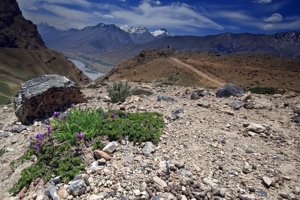 Himalayas — Stock Photo, Image