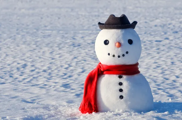 Snowman — Stock Photo, Image