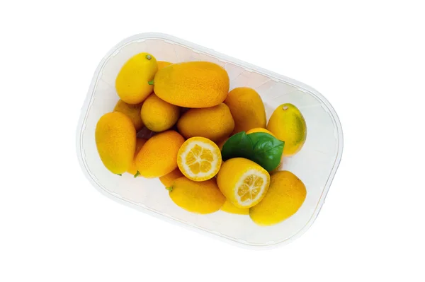 Citrussläktet — Stockfoto