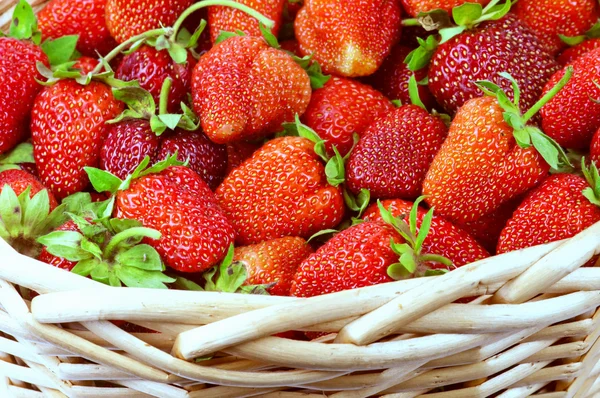 Strawberry — Stock Photo, Image