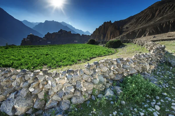 Dhankar — Stok fotoğraf