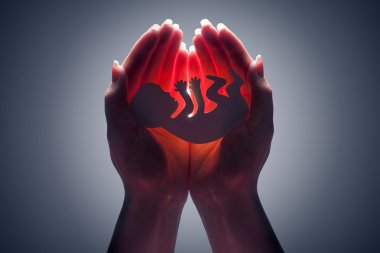 Embriyo