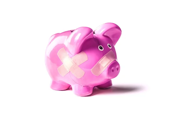 Pinkpig — Stock Photo, Image