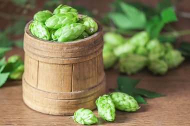 Greenhop