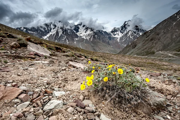 Himalayalar — Stok fotoğraf