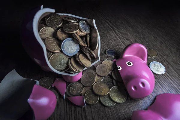 Pigcoin. — Foto de Stock