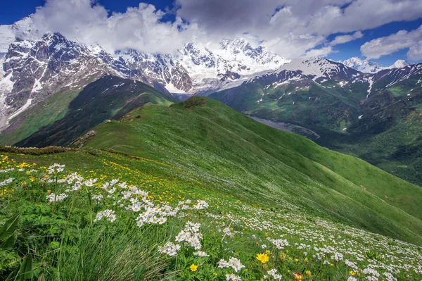 Dağ — Stok fotoğraf