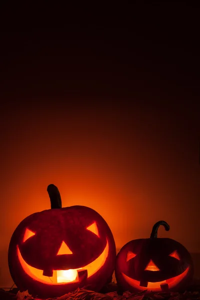 Pumpkin — Stock Photo, Image