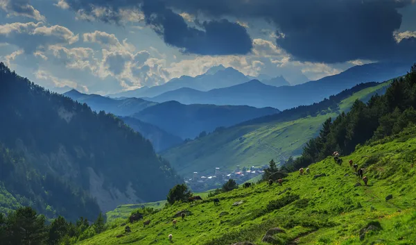 Dağ — Stok fotoğraf