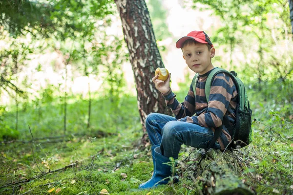 Floresta bovina — Fotografia de Stock