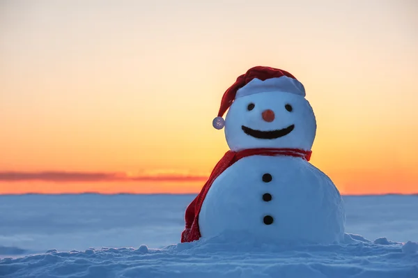 Schneemann — Stockfoto