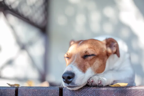 Niet doen. — Stockfoto