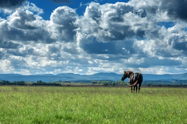 Montanha — Fotografia de Stock