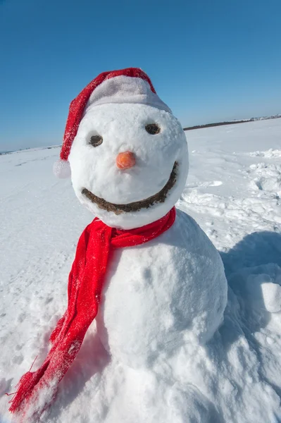 Schneemann — Stockfoto