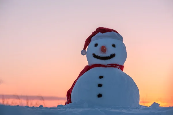 Hombre de nieve — Foto de Stock