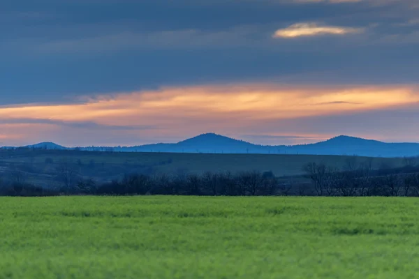 Nemi erőszak — Stock Fotó