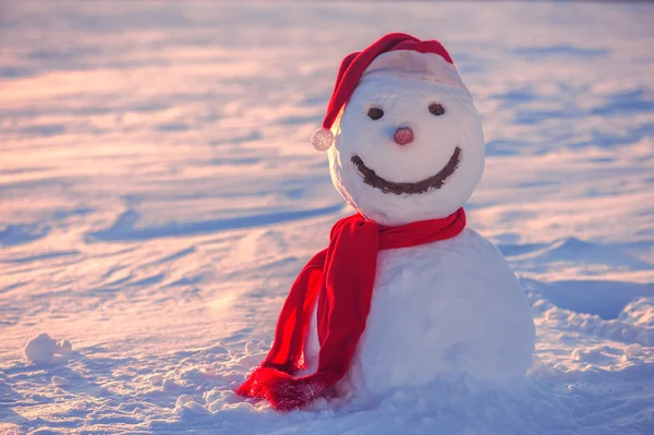 Boneco de neve — Fotografia de Stock