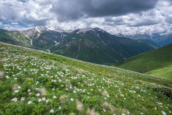 Mountain — Stock Photo, Image