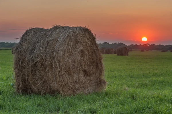 Bale — Stock Photo, Image