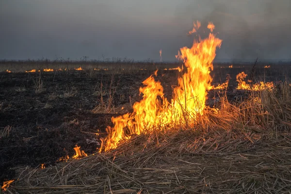 火事だ — ストック写真