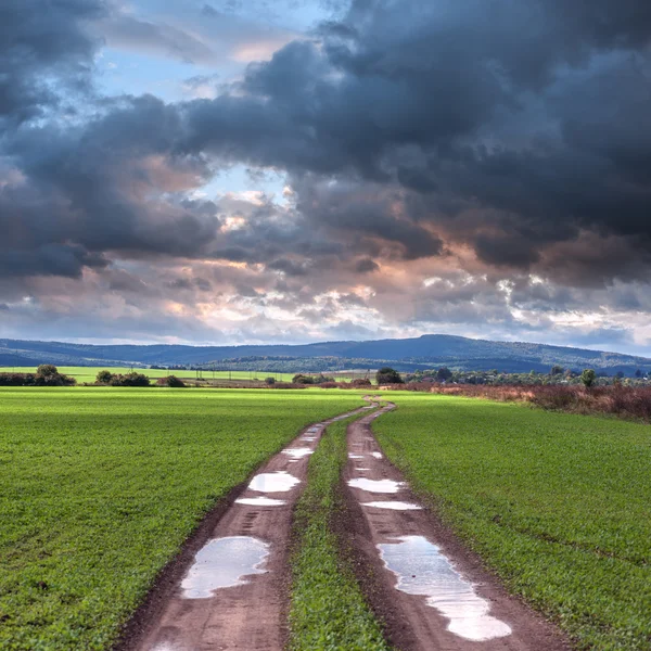 Road — Stock Photo, Image