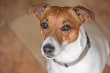 Jack!