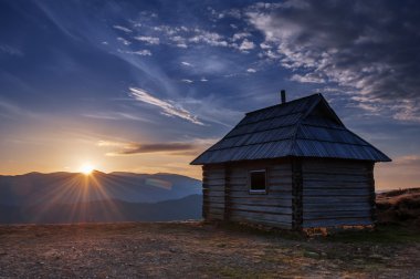 sunrice