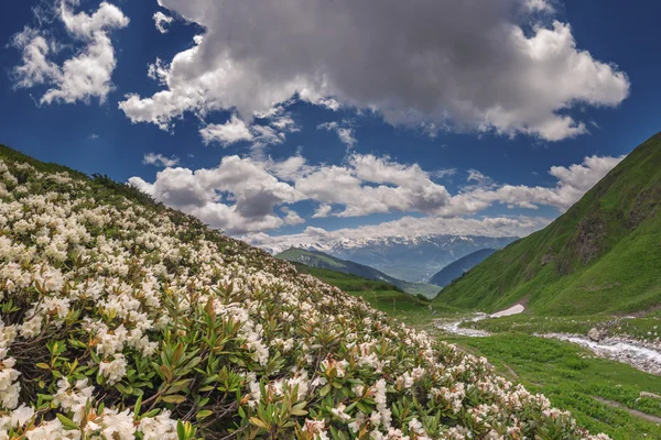 Montagna — Foto Stock