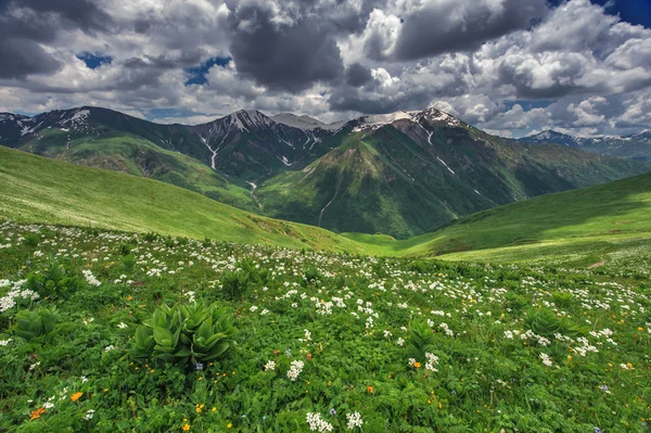 Montagna — Foto Stock