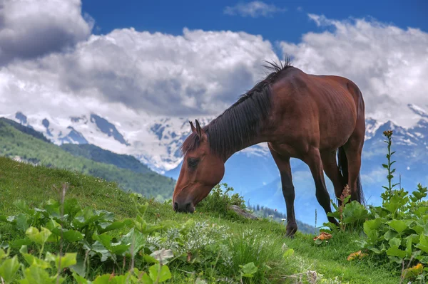 Montaña — Foto de Stock