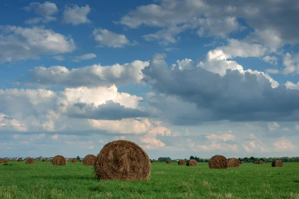 A hay — Stock Photo, Image