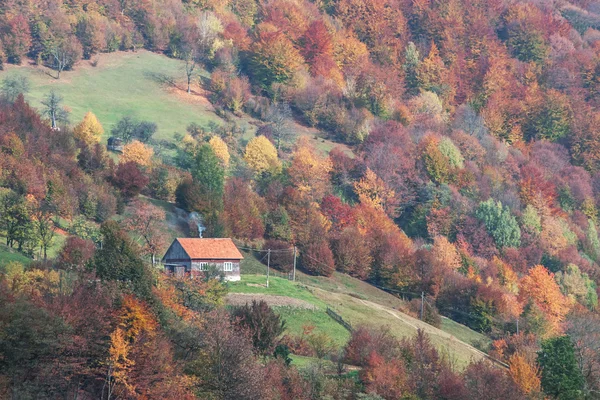 Haus — Stockfoto