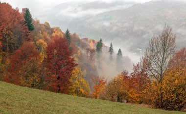 Dağ
