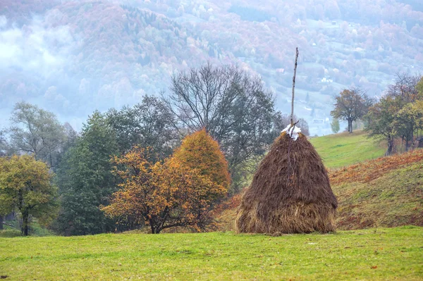 Haystack — Stock Photo, Image