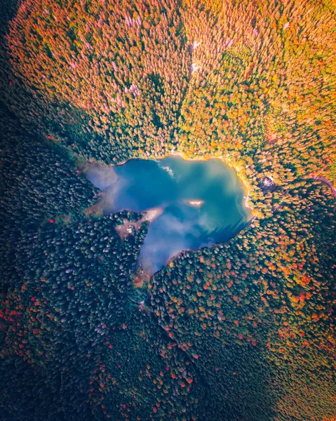 Αεροφωτογραφία της άγριας λίμνης Synevir — Φωτογραφία Αρχείου