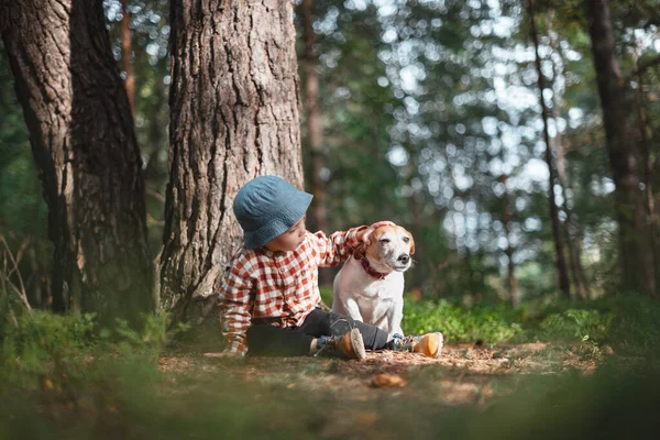 Kis gyerek kék sapkában fehér kutyával — Stock Fotó