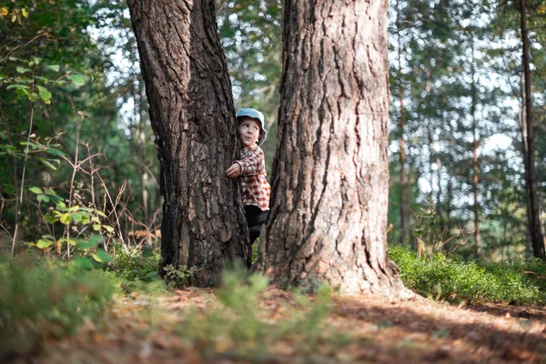 Criança pequena em abraços de gorro azuis um pinheiro — Fotografia de Stock