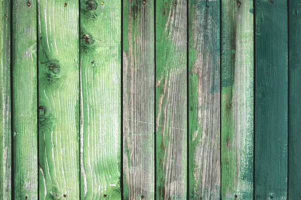 Placa grunge de madeira velha pintada em diferentes tons de cor verde — Fotografia de Stock