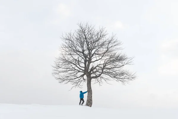 Удивительный пейзаж с человеком возле одинокого снежного дерева — стоковое фото