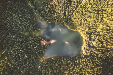 Synevir Gölü 'nün havadan görünüşü