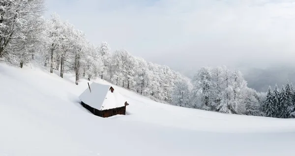 Fantastiskt landskap med snöigt hus — Stockfoto