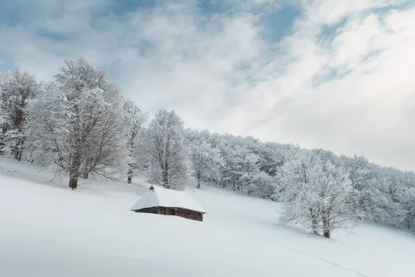 Paesaggio fantastico con casa innevata — Foto Stock