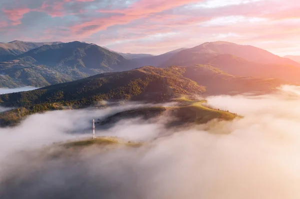 Úžasná ranní mlha se rozprostírá po zelených loukách — Stock fotografie