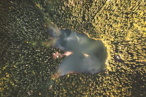 Letecký pohled na divoké jezero Synevir — Stock fotografie