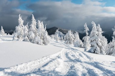 Karlı ağaçlar ve kayak pistleriyle muhteşem bir manzara.