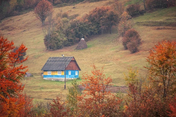 家 — ストック写真