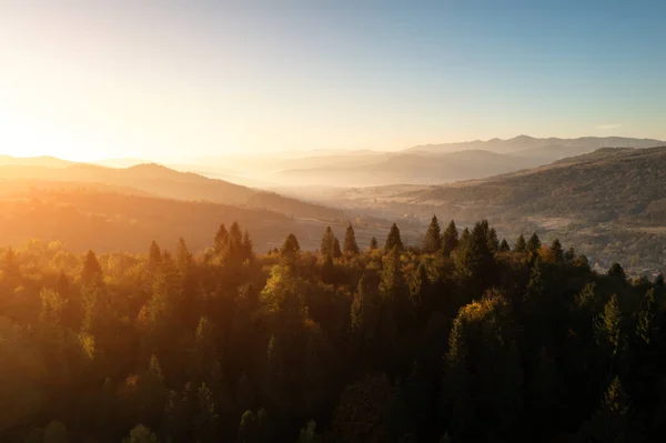 Pittoreska höstfjäll med röd bokskog — Stockfoto