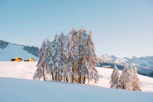 Paesaggio pittoresco con piccola casa in legno sul prato Alpe di Siusi — Foto Stock